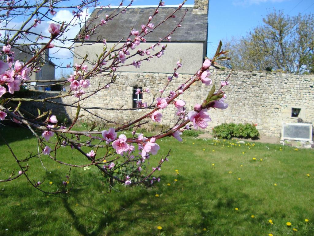 La Maison Claire Longueville  Екстериор снимка